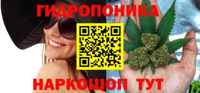 прущая мука Кулебаки