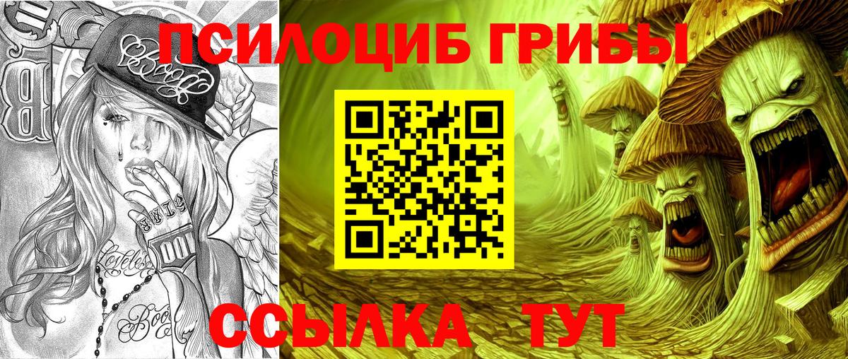 Качканар  купить  сайты  Вход с VPN  Псилоцибиновые грибы MAGIC MUSHROOMS  Галлюциногенные грибы Psilocybine cubensis 